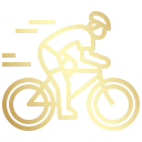 Skating Rings